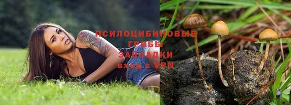 крисы Нязепетровск