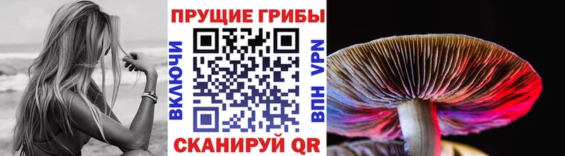 Галлюциногенные грибы MAGIC MUSHROOMS  Мышкин 